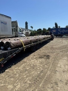 Lumber logs on flatbed trailer